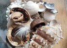 Fundstücke am Strand