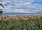 Strand bei Westwind