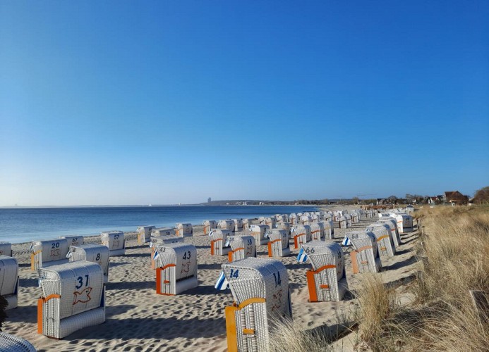 Strand und Strandkörbe 
