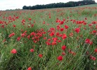 Fewo OstseeRefugium Haffkrug