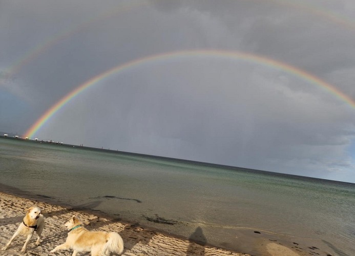 Haus  Aalweg Haffkrug