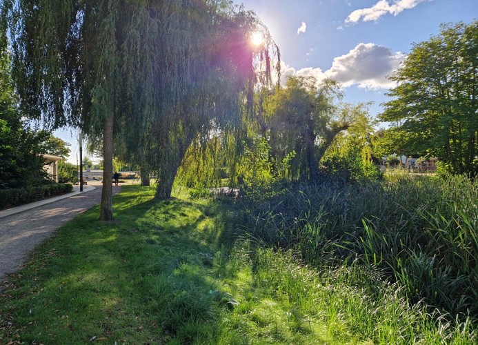 Kurpark Haffkrug