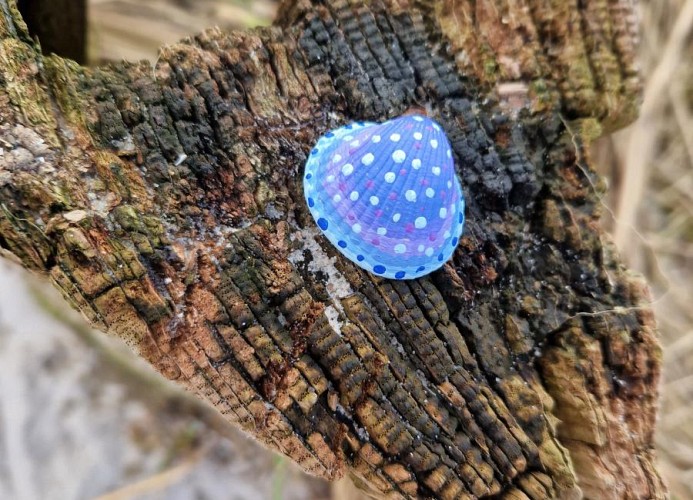 Nautica App A6, Strandallee 65 Haffkrug