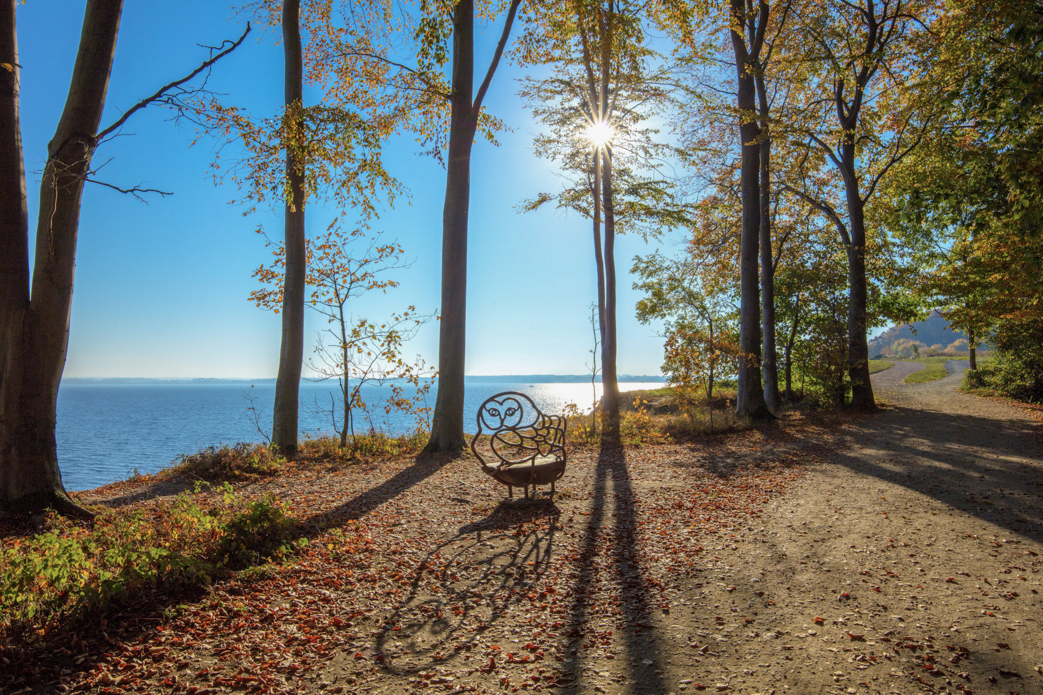 Bank am Brodtener Ufer Herbstwald